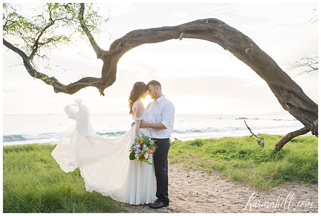 Dream Wedding in Maui