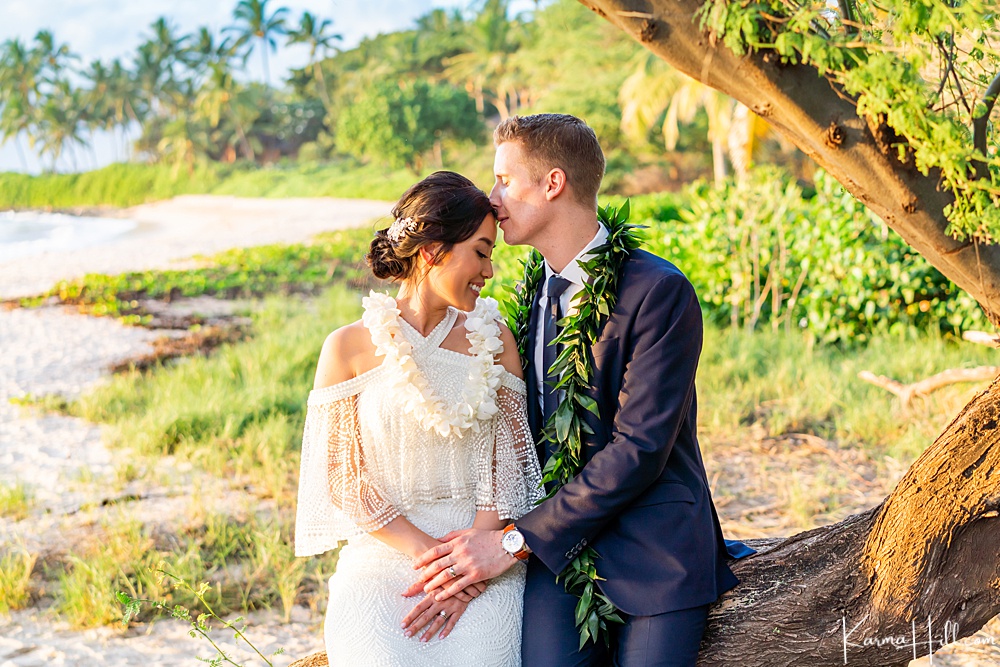 bride and groom sitting on a tree in Maui 