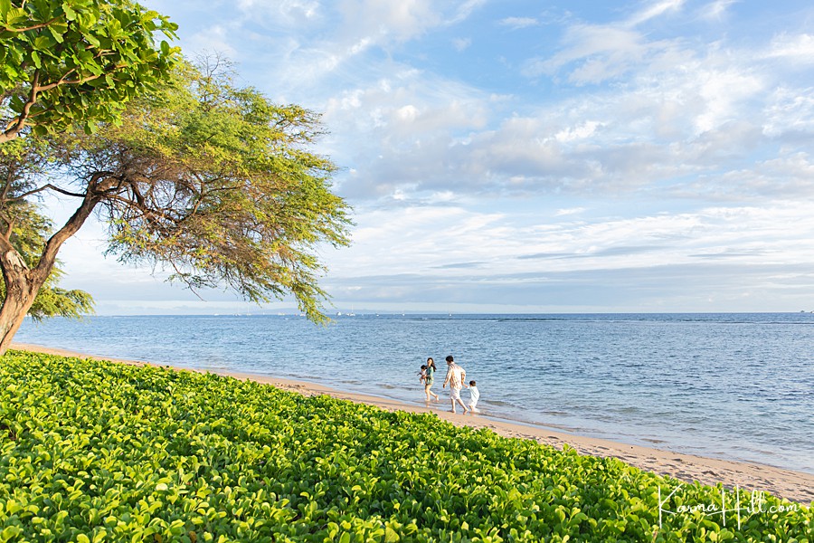 maui portrait beach locations