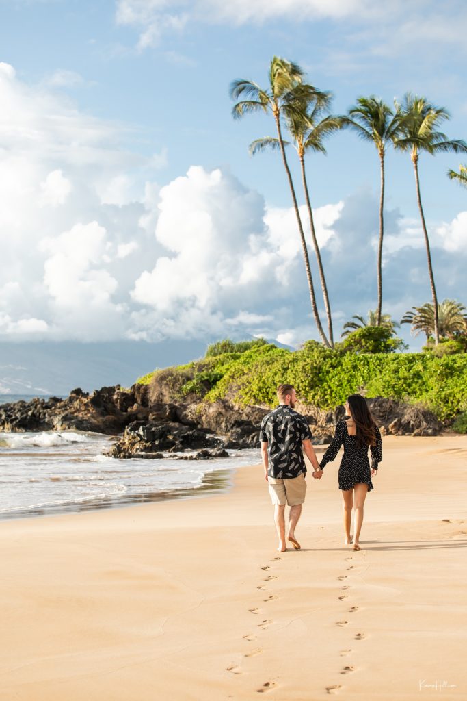 Maui proposals