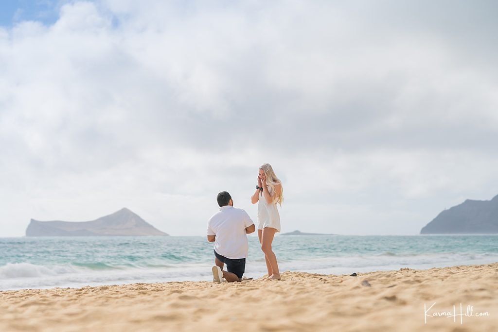 Oahu Proposal Photography 