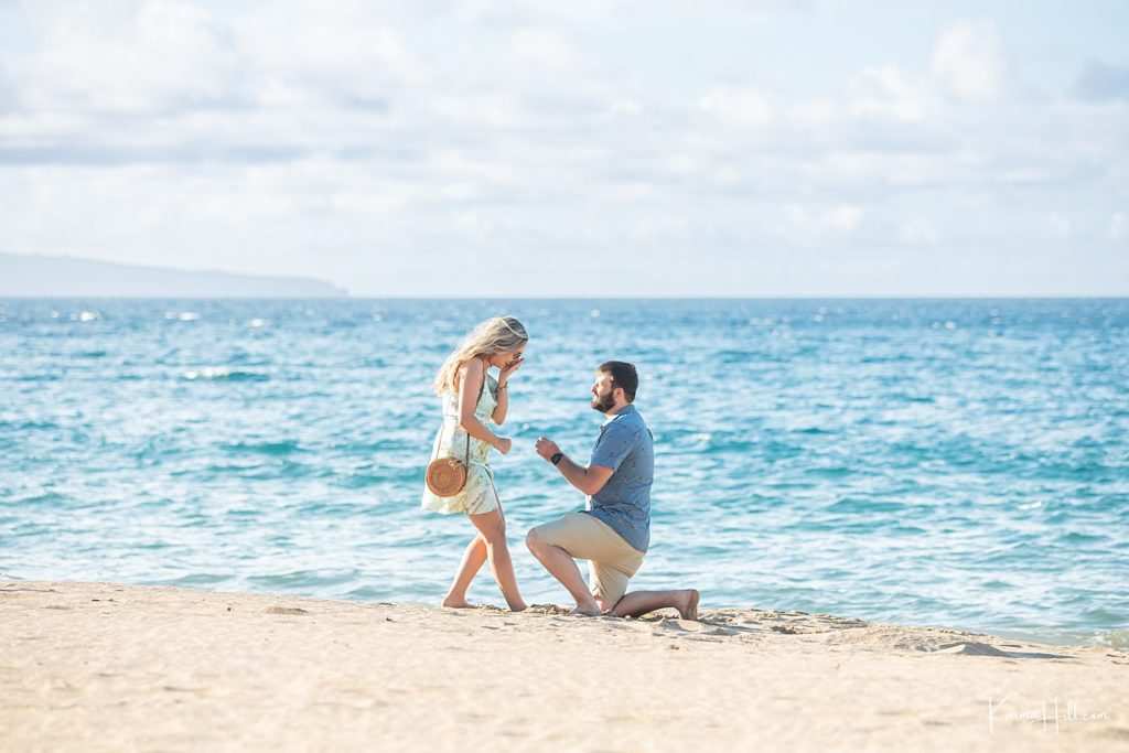 proposal portraits in maui