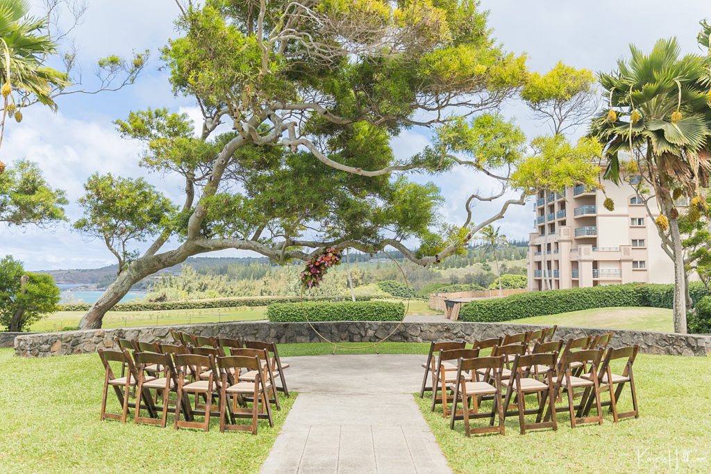Maui Hawaii Wedding Photographer