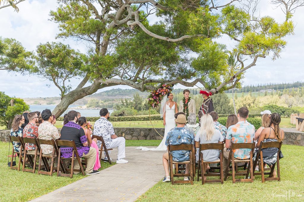 Maui Hawaii Wedding Photographer in Kapalua