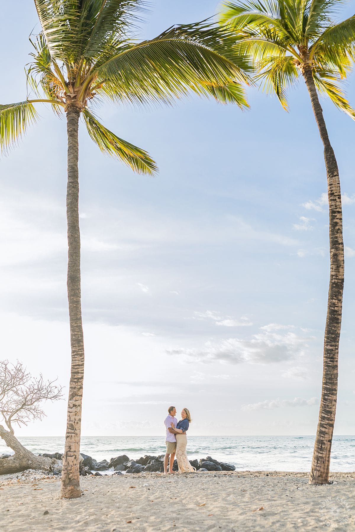 big island family portrait