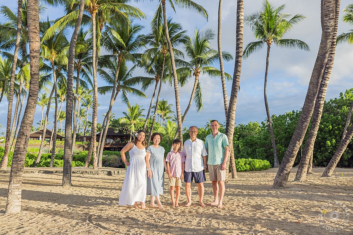big island family portrait