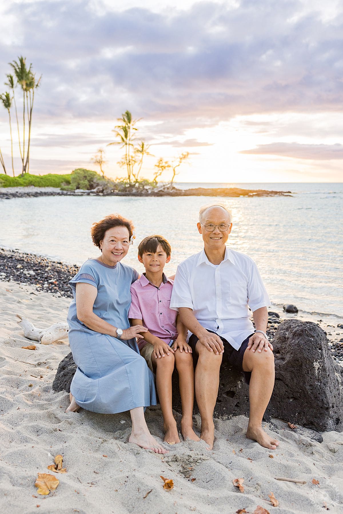 big island family portrait