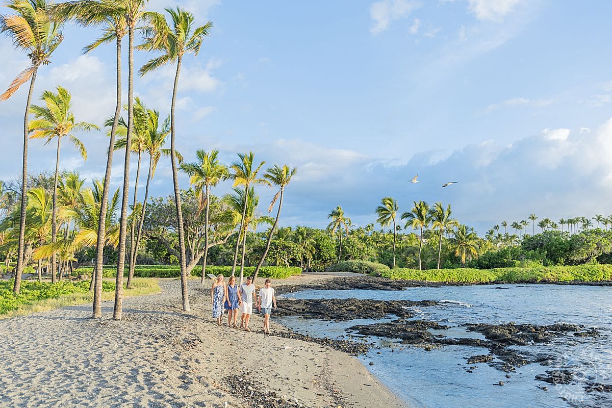 big island family portrait