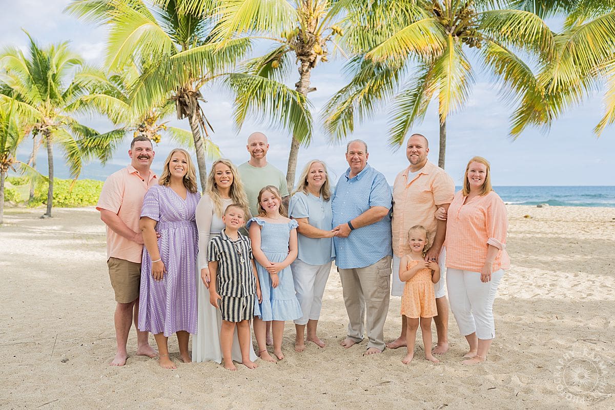 big island family portrait