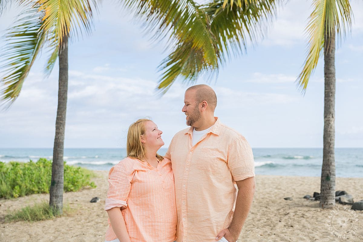 big island family portrait