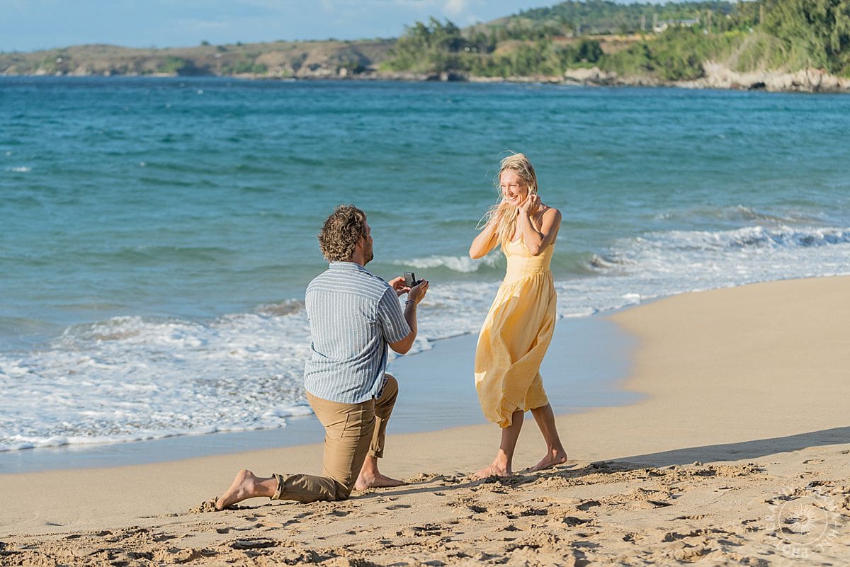 maui proposal portrait