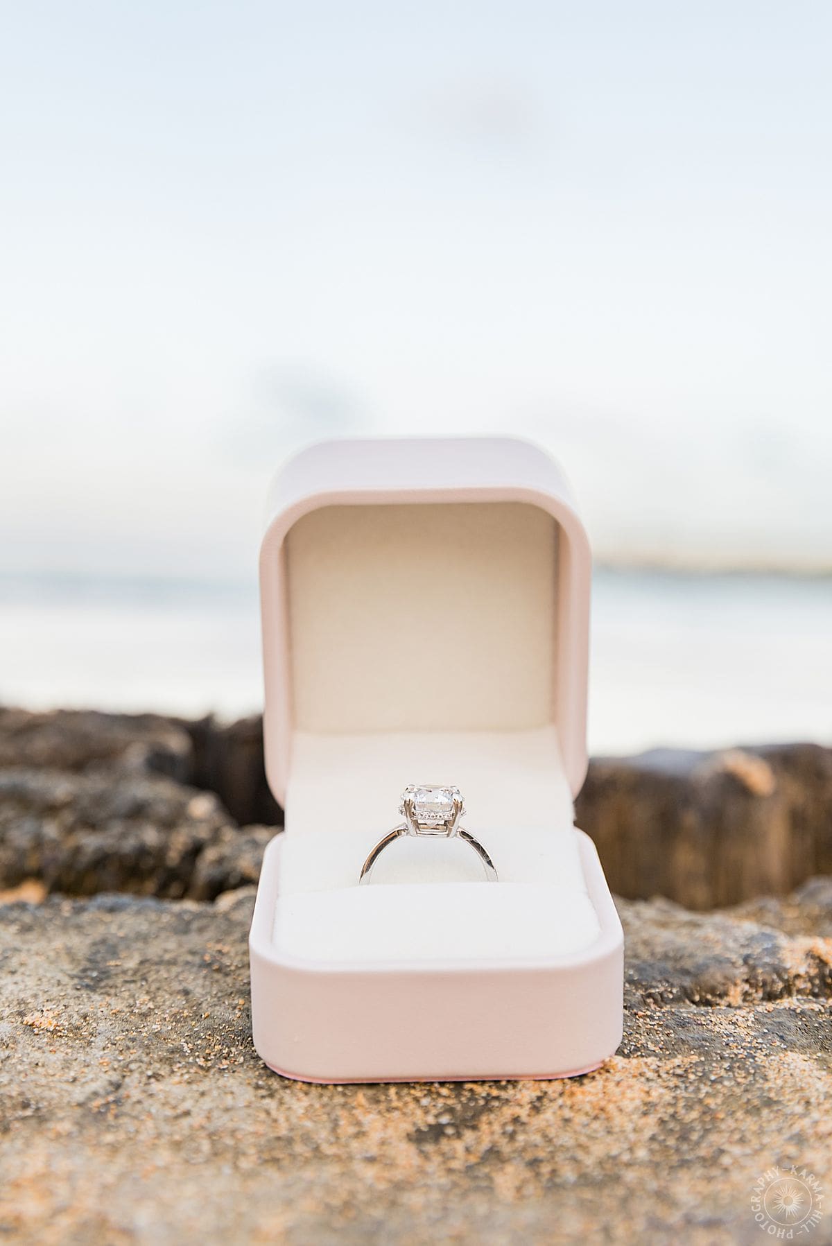 KAUAI PROPOSAL PORTRAIT