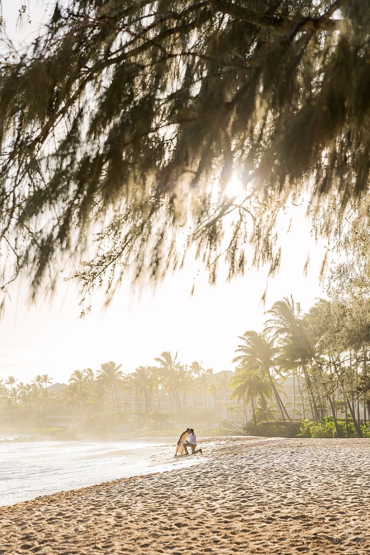 kauai proposal portrait