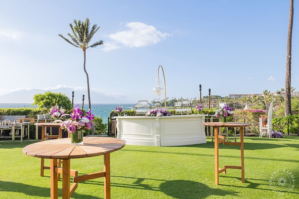 maui wedding photography