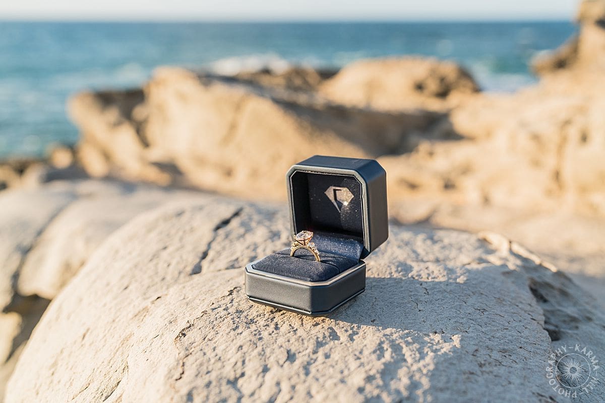 maui proposal portrait