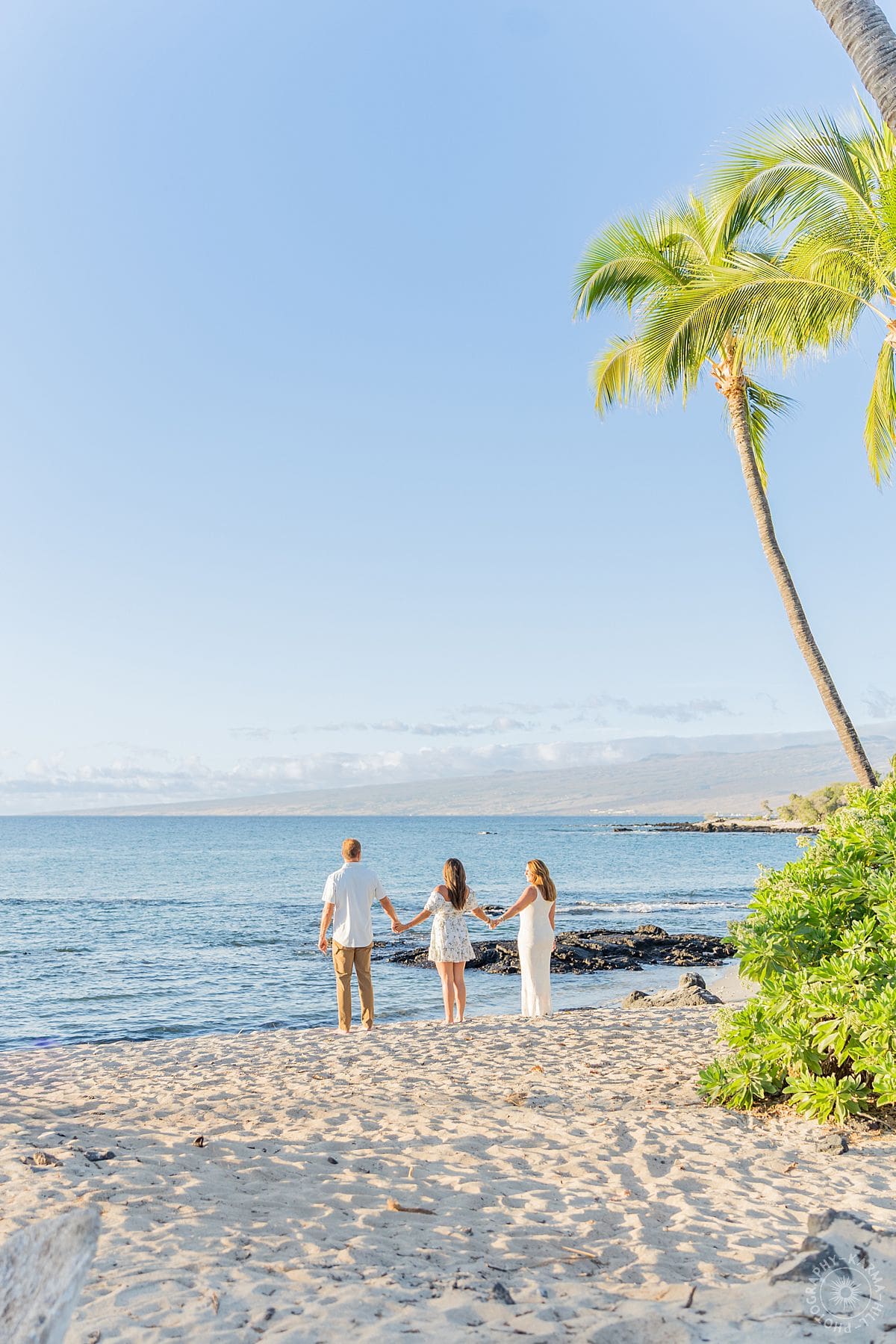 big island family portrait