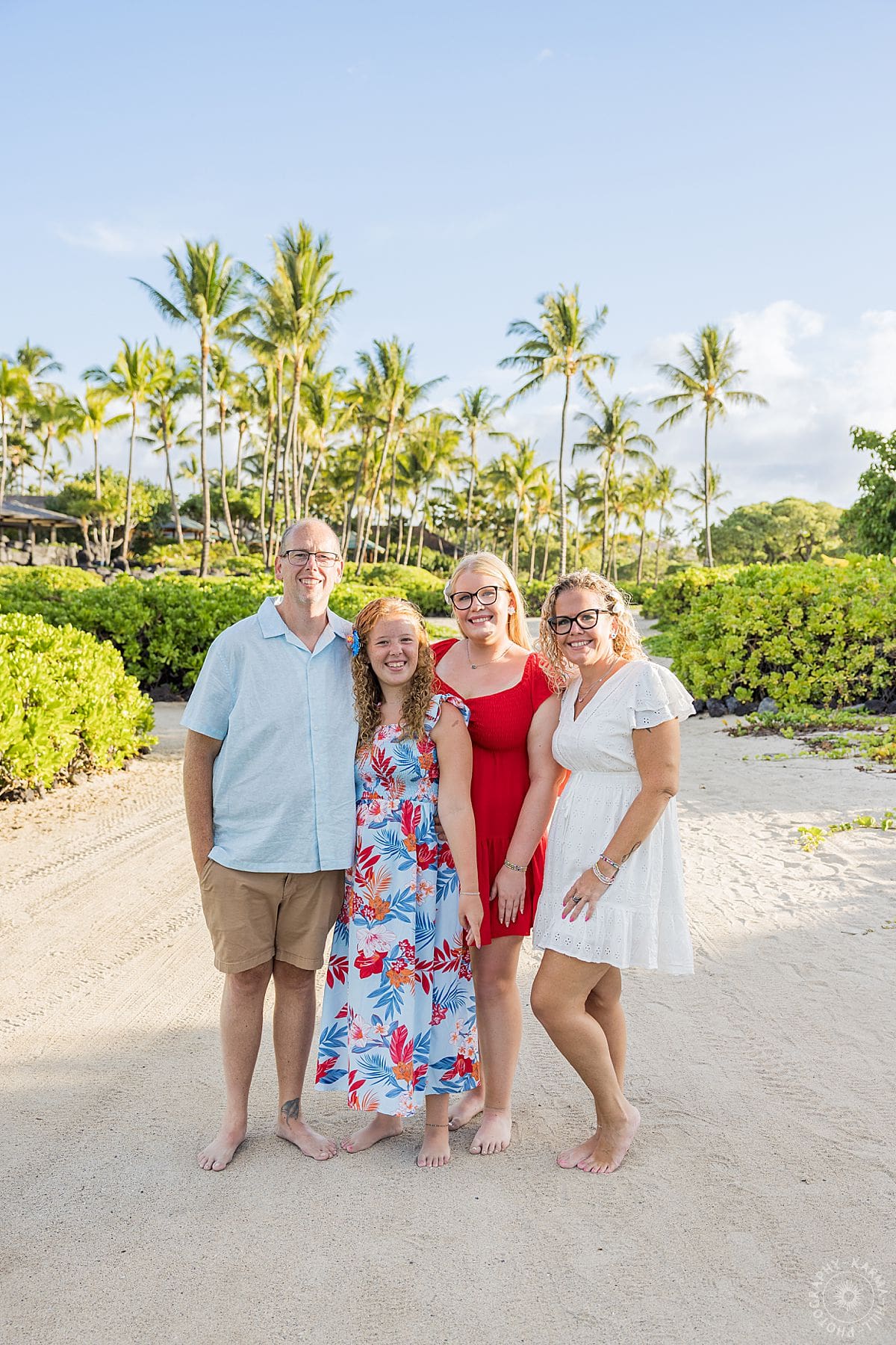 big island family portrait 