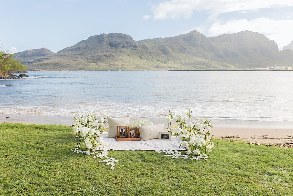 KAUAI PROPOSAL PORTRAIT