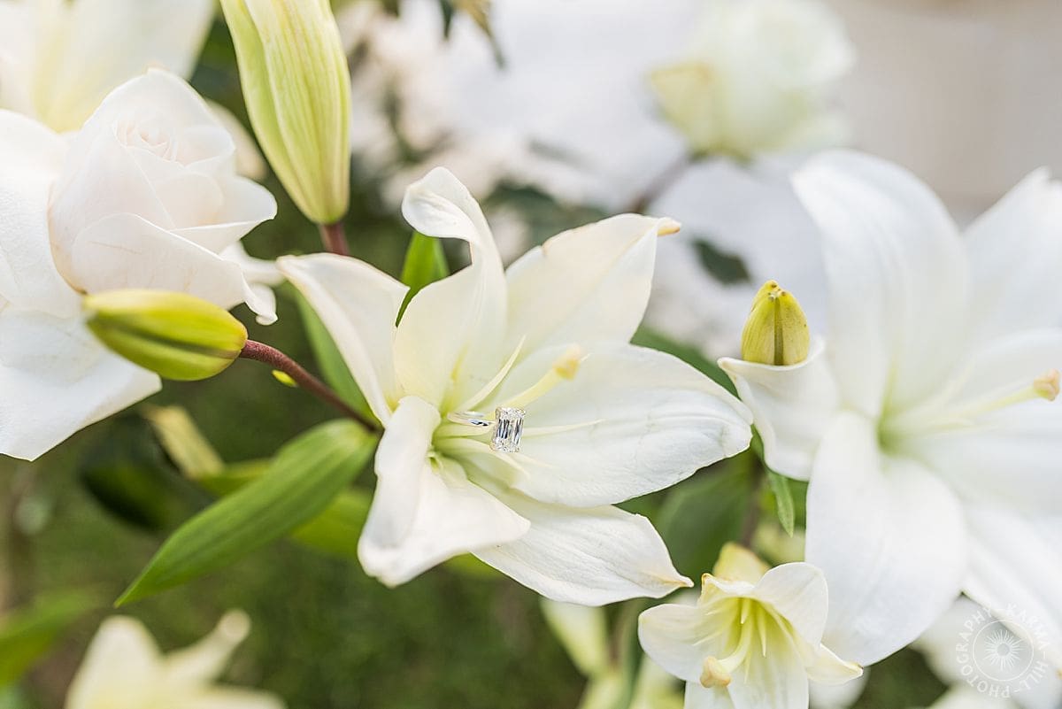KAUAI PROPOSAL PORTRAIT
