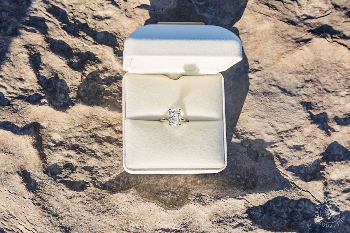 maui proposal portrait 