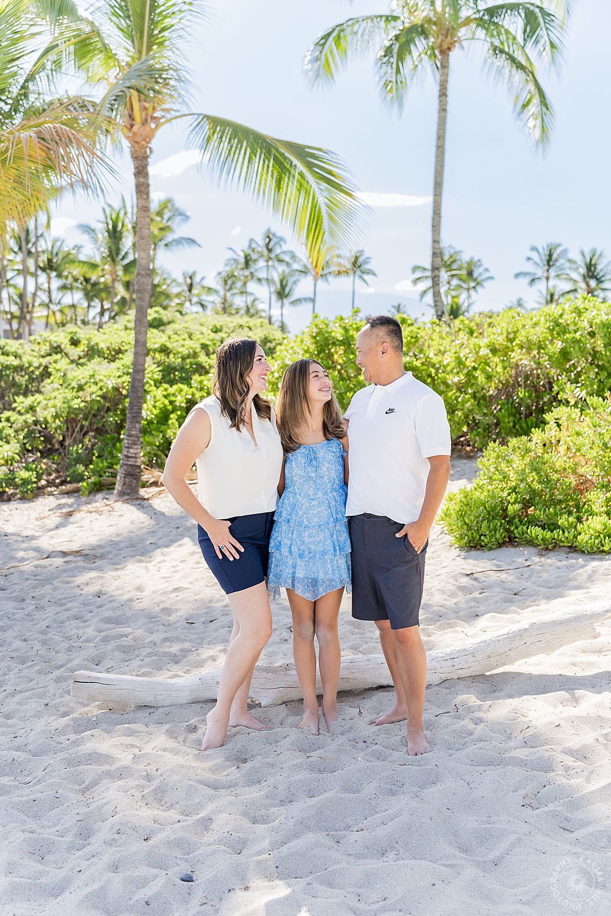 big island family portrait 