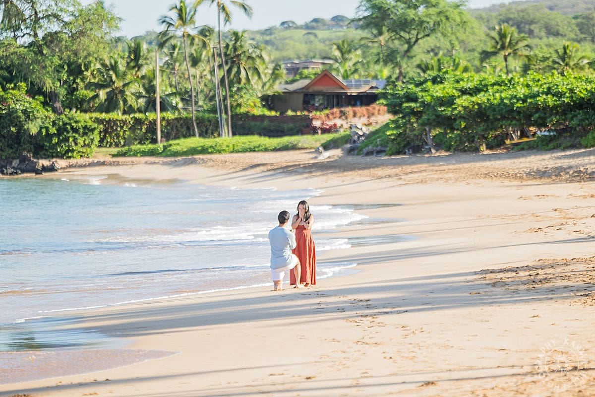 maui proposal portrait 