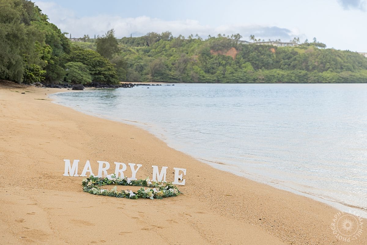 Kauai Proposal Portrait