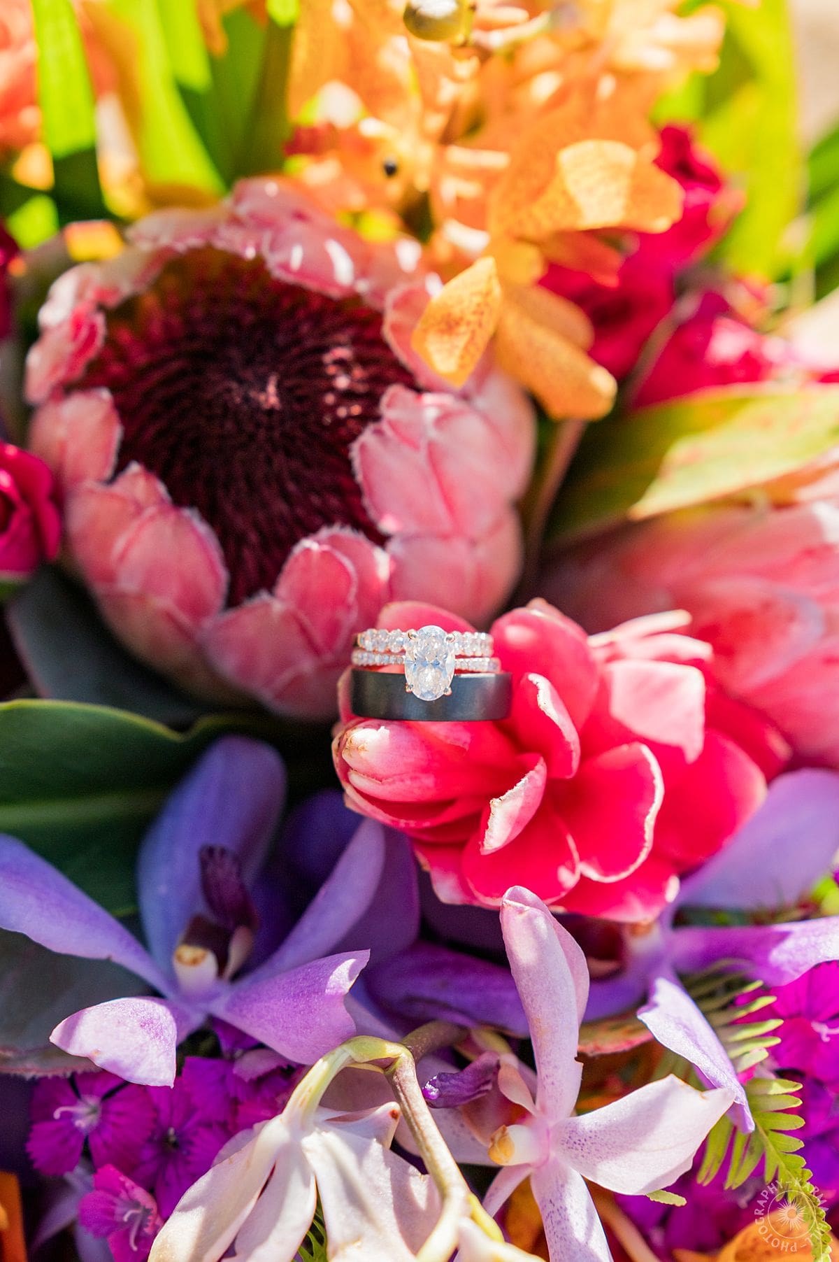 MAUI WEDDING PHOTOGRAPHY