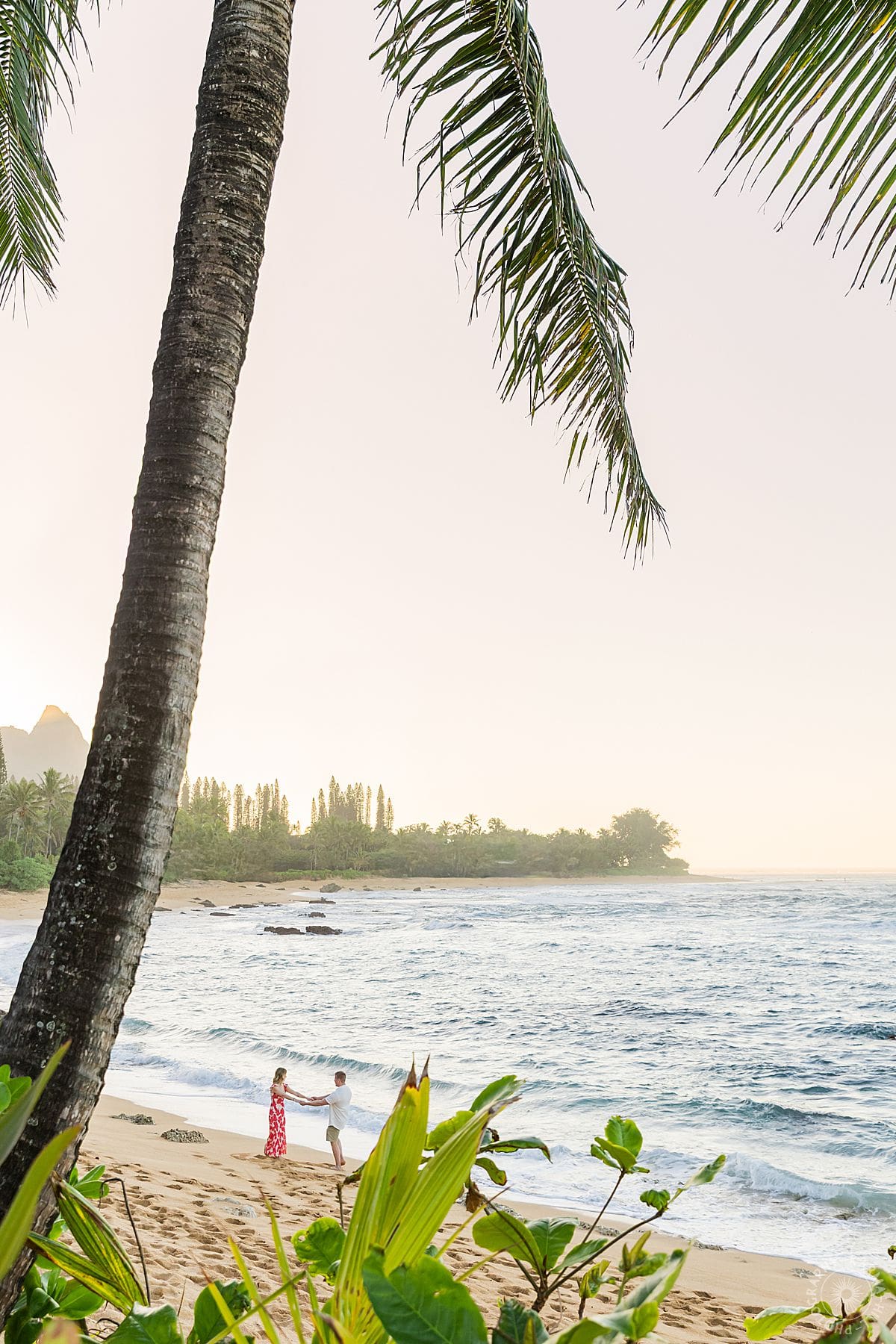 Kauai proposal portrait