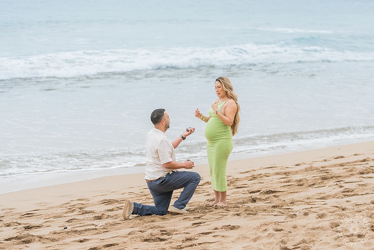 Maui Proposal Portrait
