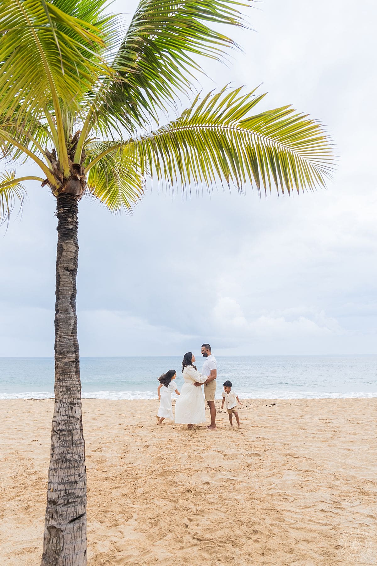 Lanai family portraits