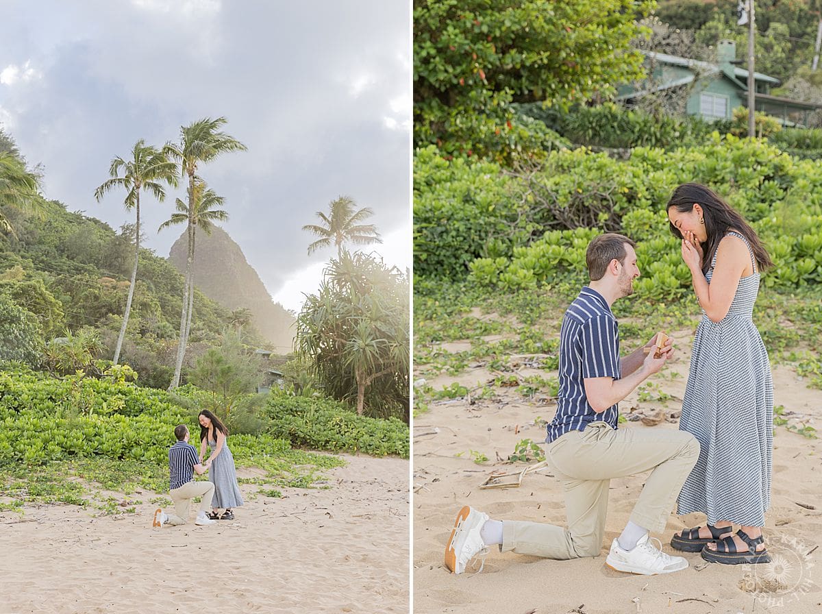 Kauai Proposal