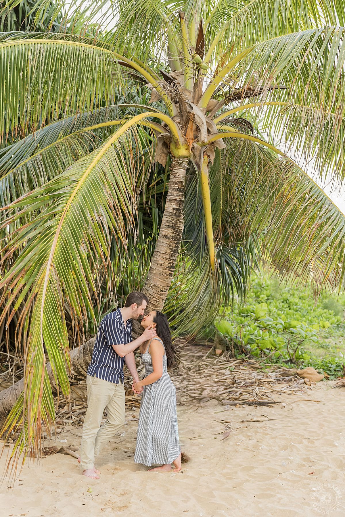 Kauai Proposal