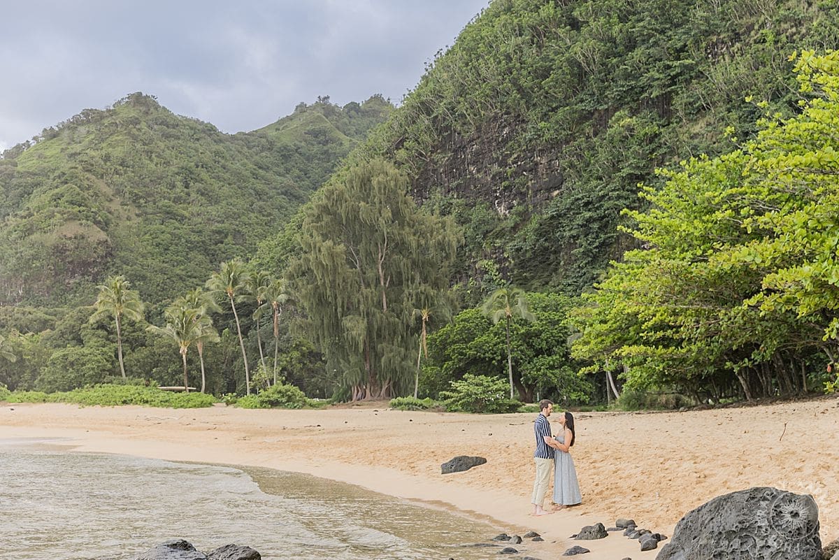 Kauai Proposal