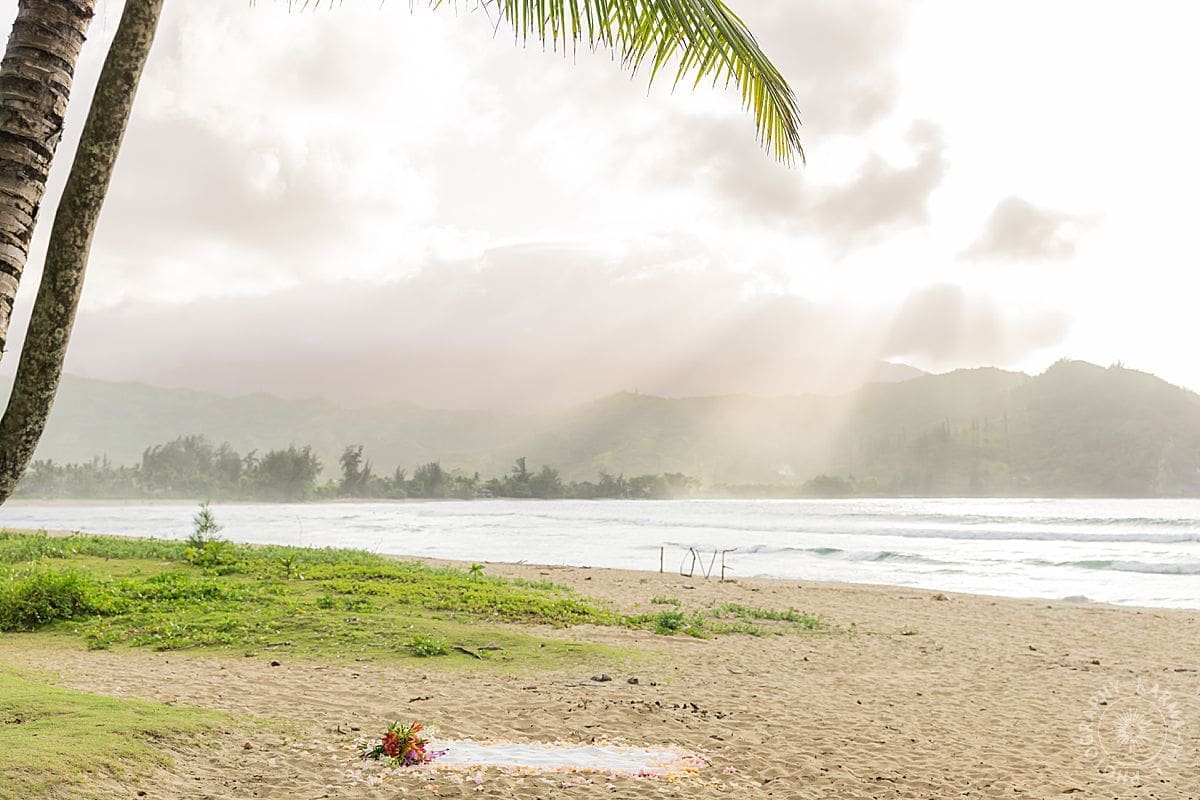 Kauai Proposal