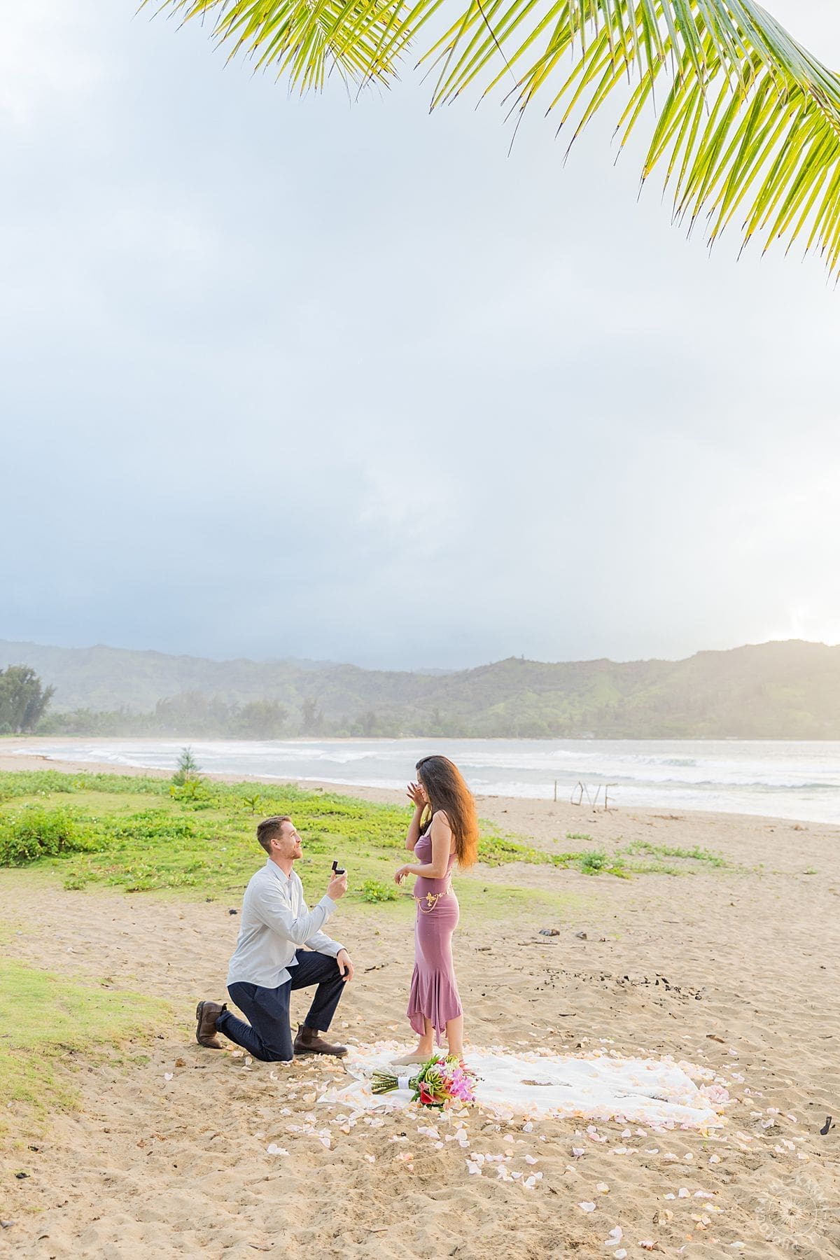 Kauai Proposal