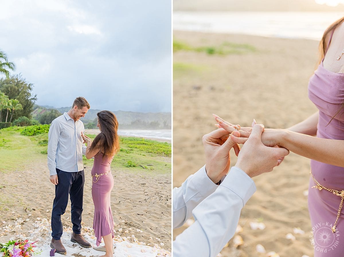 Kauai Proposal