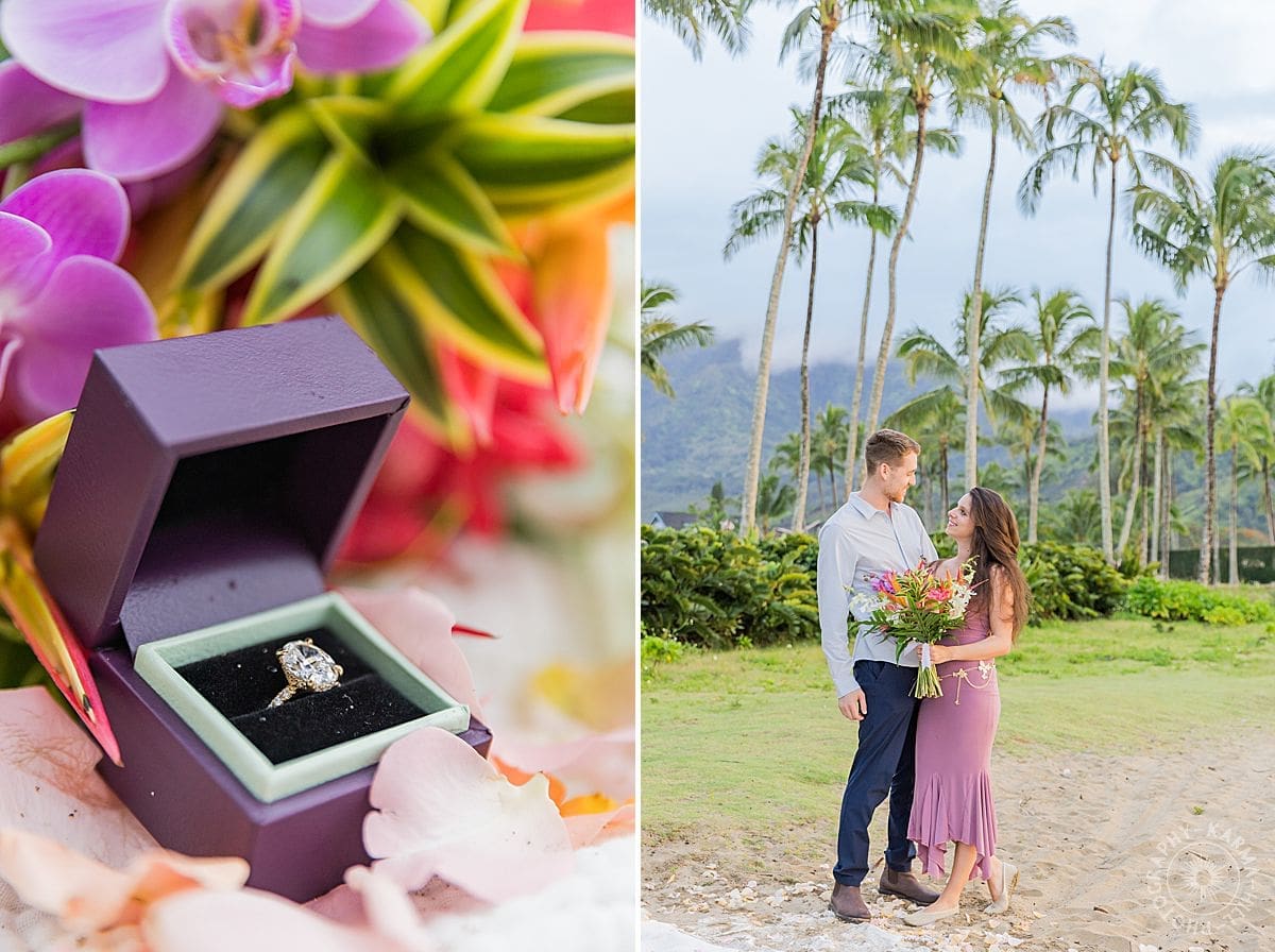 Kauai Proposal