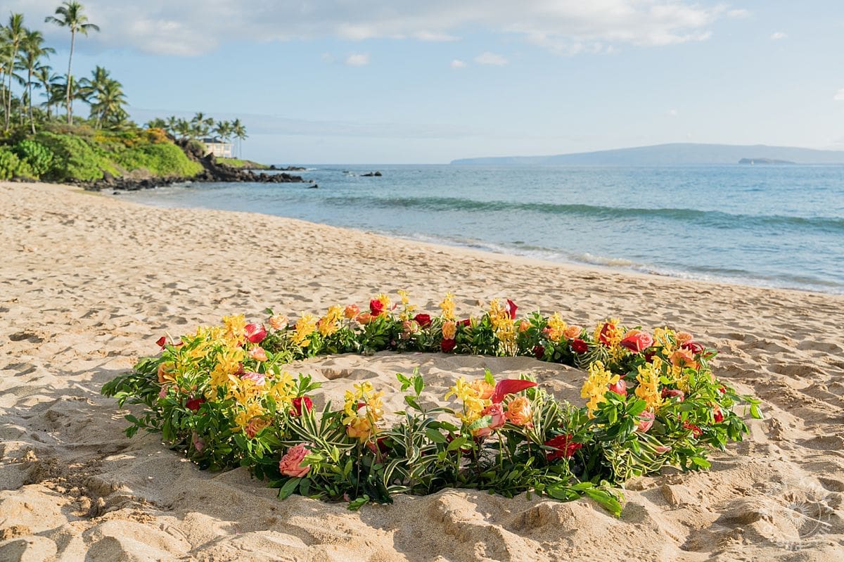 Maui Proposal
