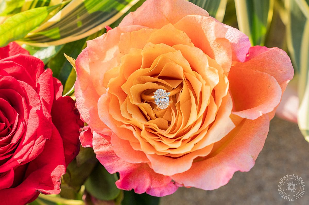Maui Proposal