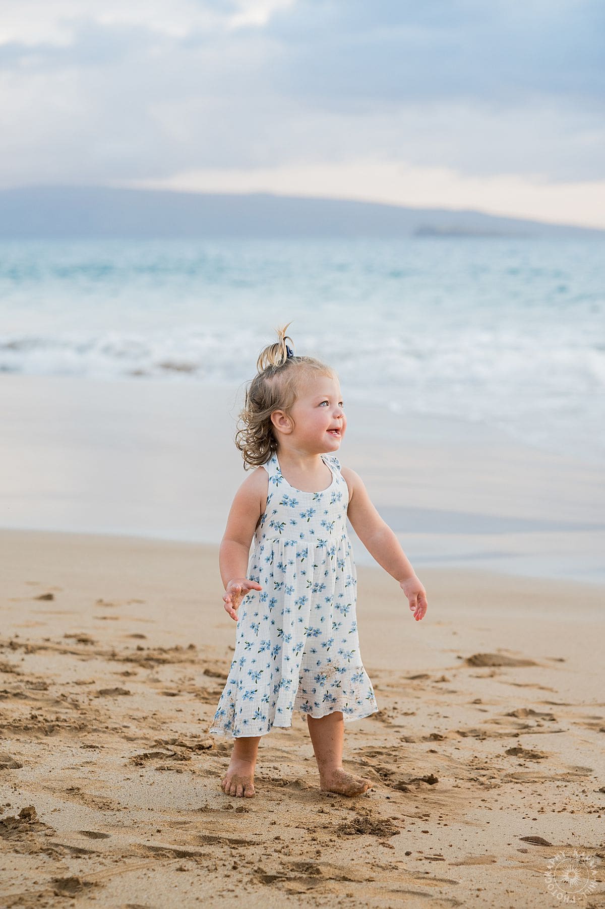 Maui family portraits