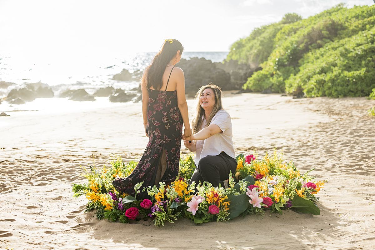 Maui Proposal