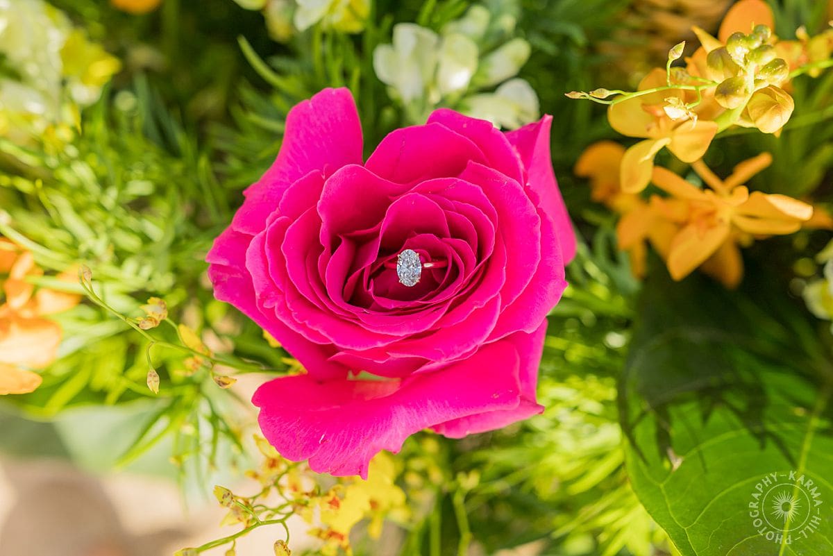 Maui Proposal
