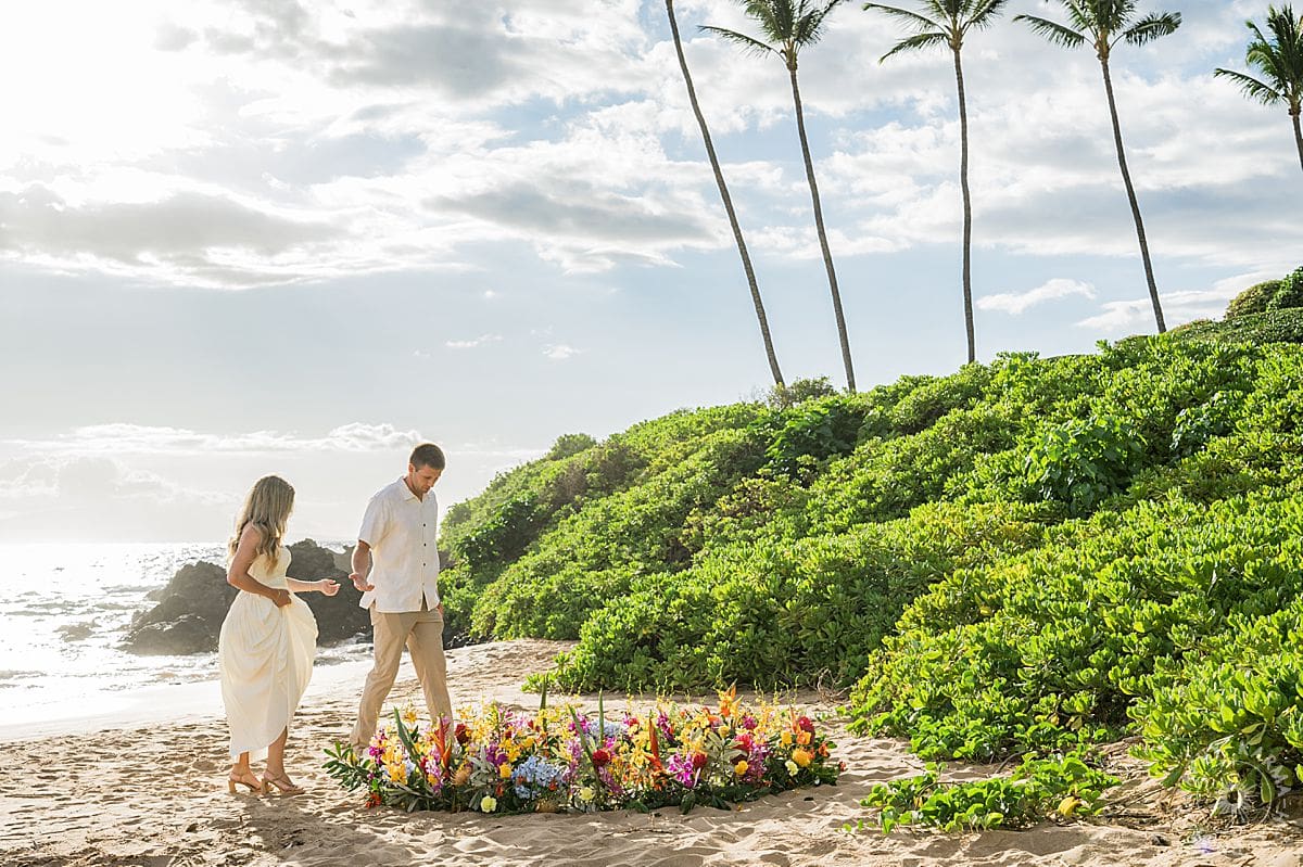 Maui Beach Proposal