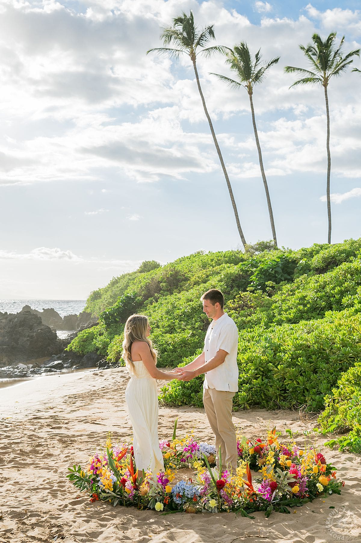 Maui Beach Proposal