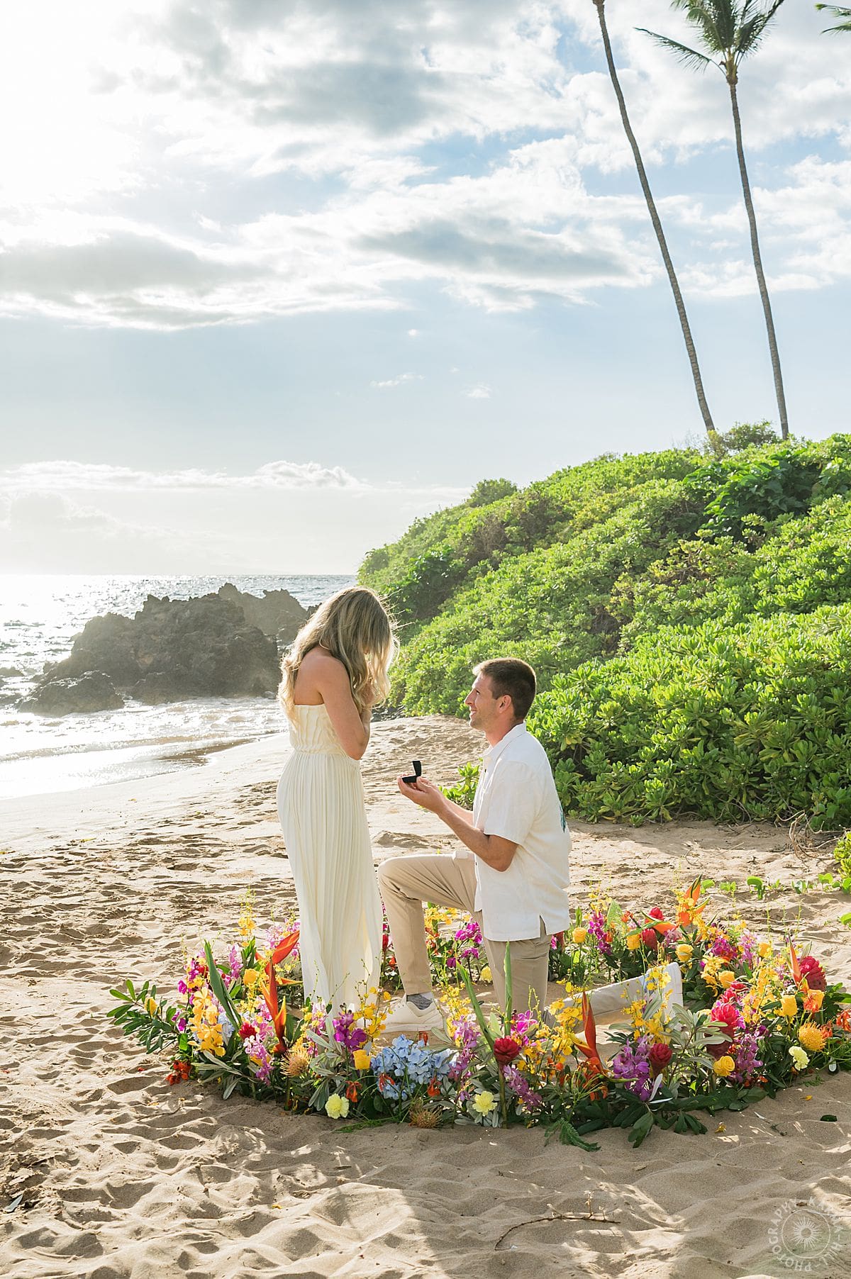 Maui Beach Proposal