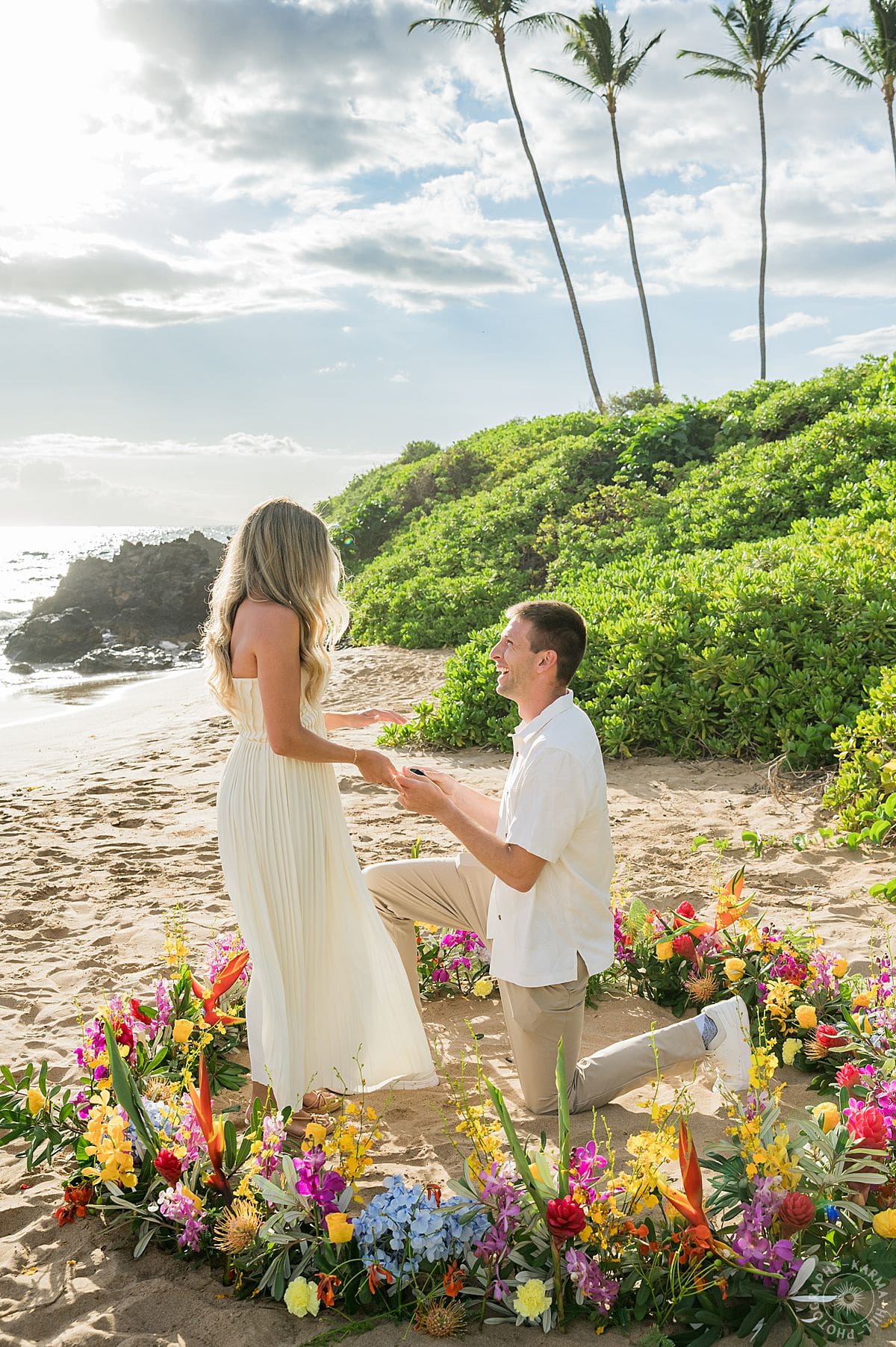 Maui Beach Proposal
