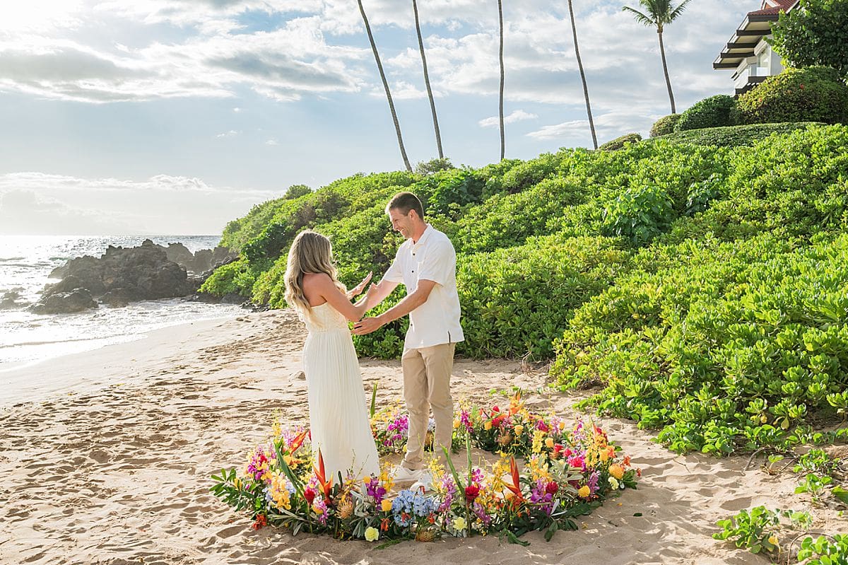 Maui Beach Proposal