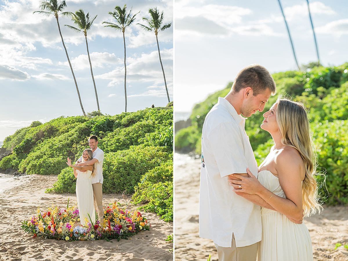 Maui Beach Proposal