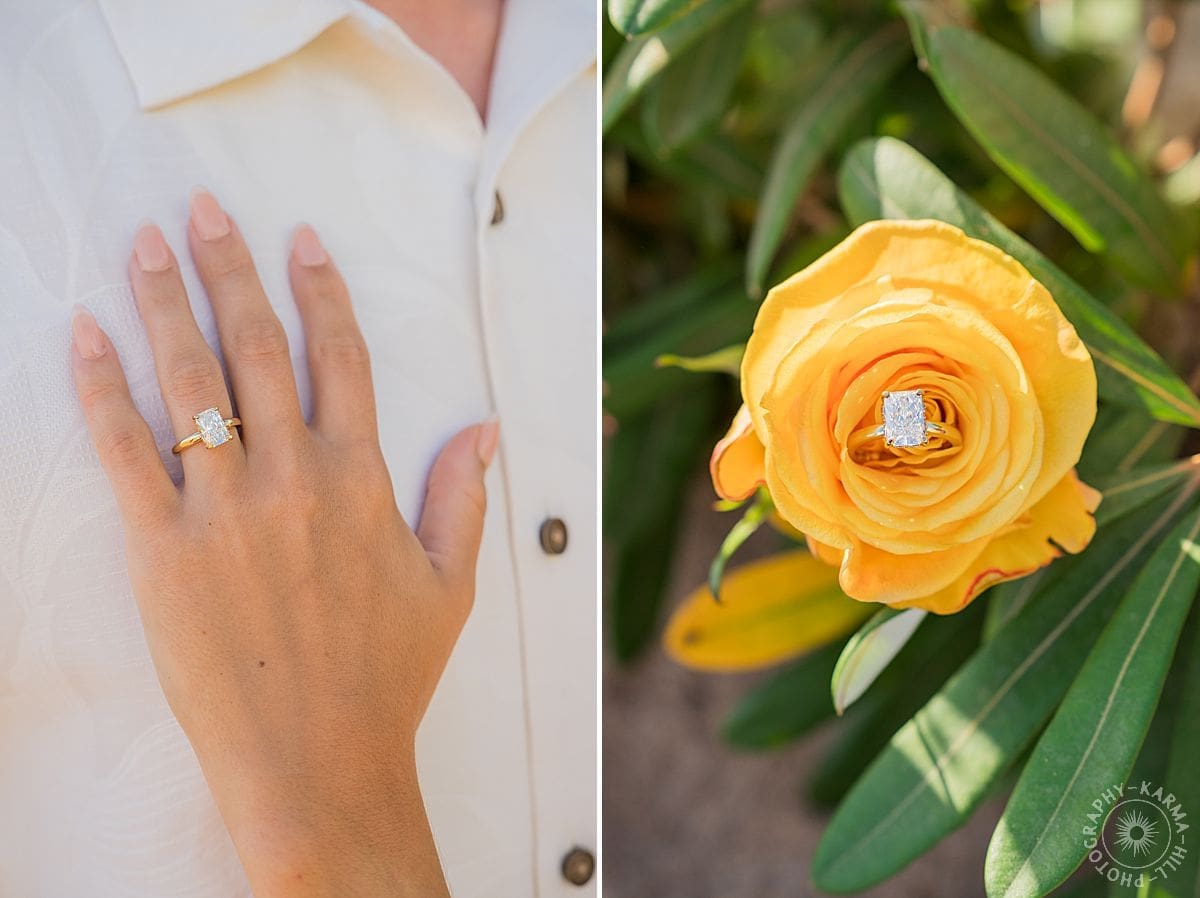 Maui Beach Proposal